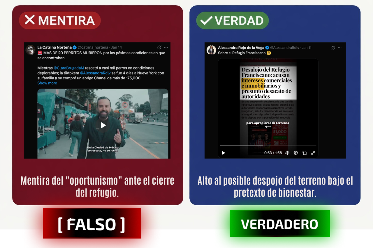 Cuando hay animales en riesgo, opinar no es protagonismo.