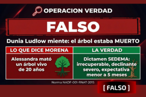 Dunia Ludlow fabricó una mentira con 99 mil vistas. Aquí está el dictamen que la desmiente.