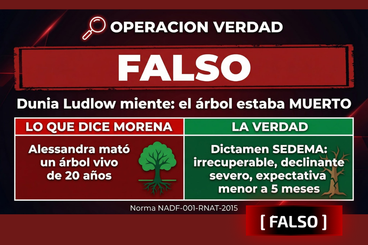 Dunia Ludlow fabricó una mentira con 99 mil vistas. Aquí está el dictamen que la desmiente.